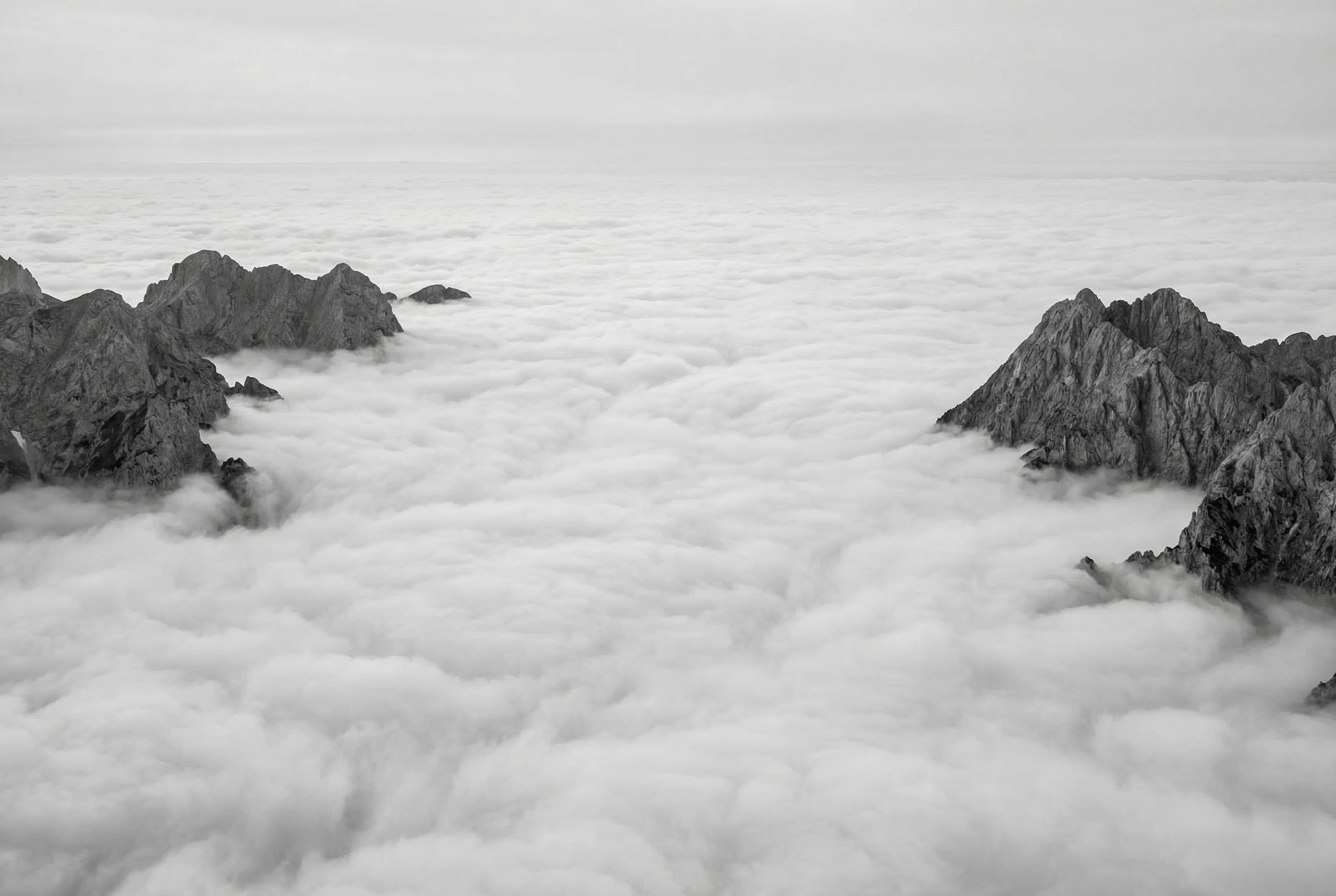 Control Your Data.
Control Your Future.