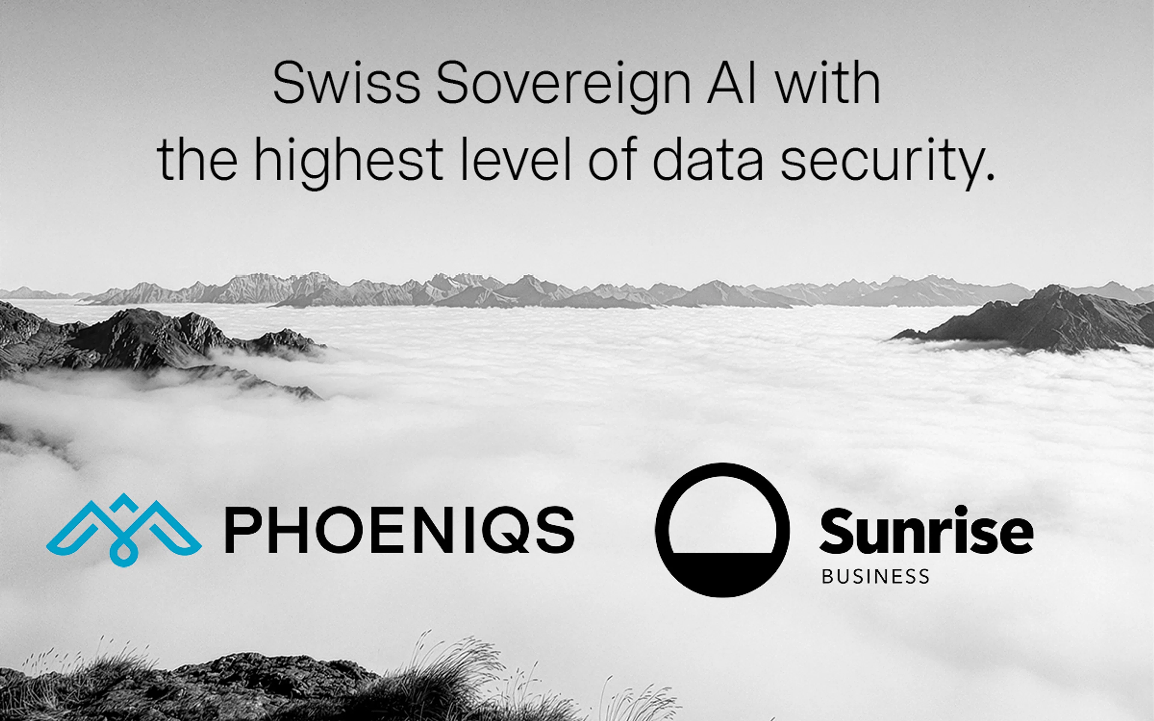 PHOENIX-SYSTEMS